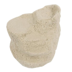 Transfiguration Mountain